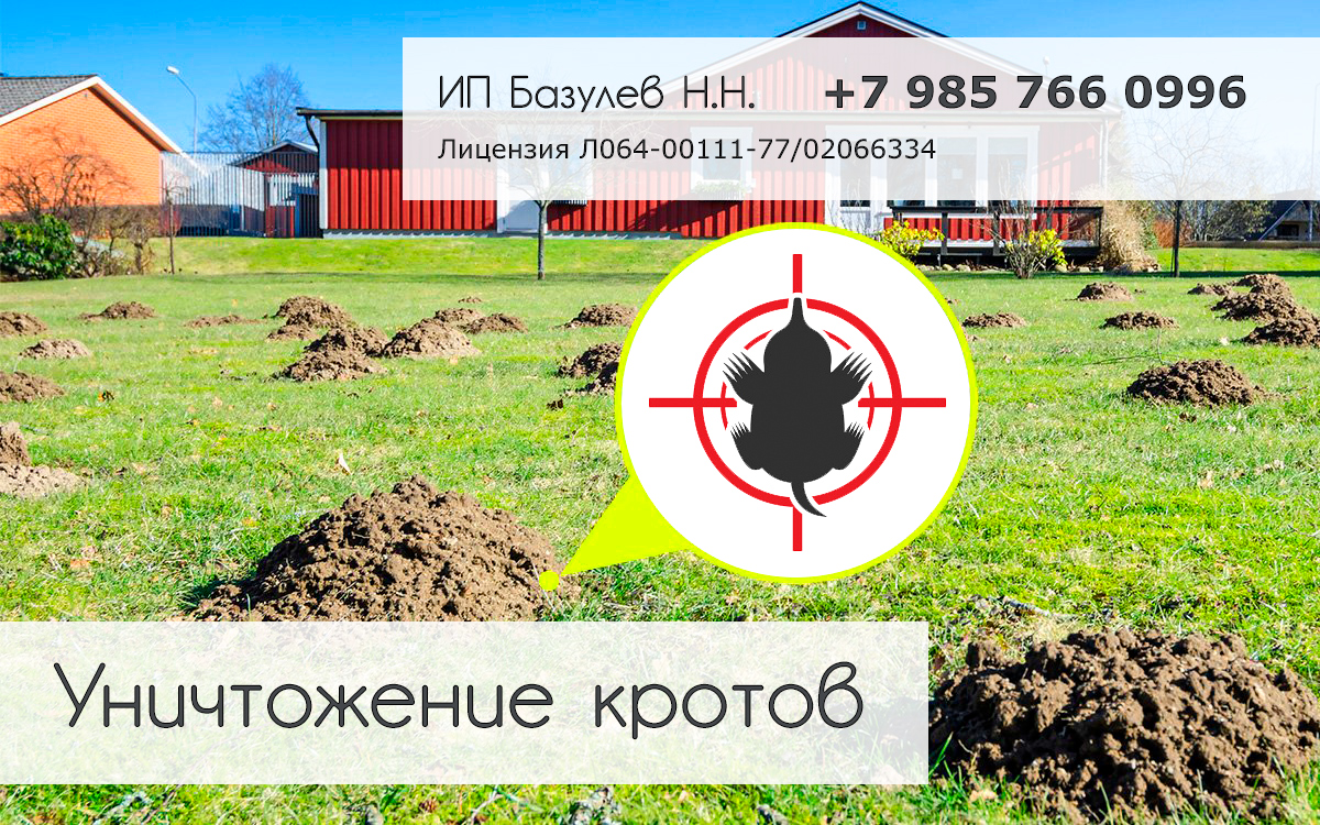 Обработка от кротов